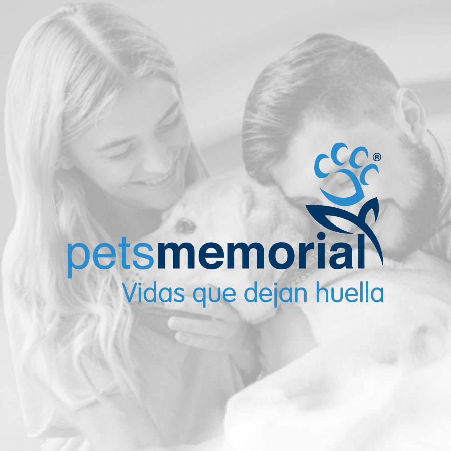 casos-de-exito-elektra